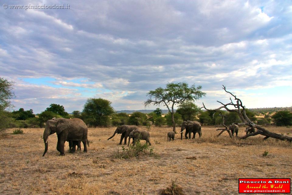 TANZANIA - Tarangire National Park - 30.jpg
